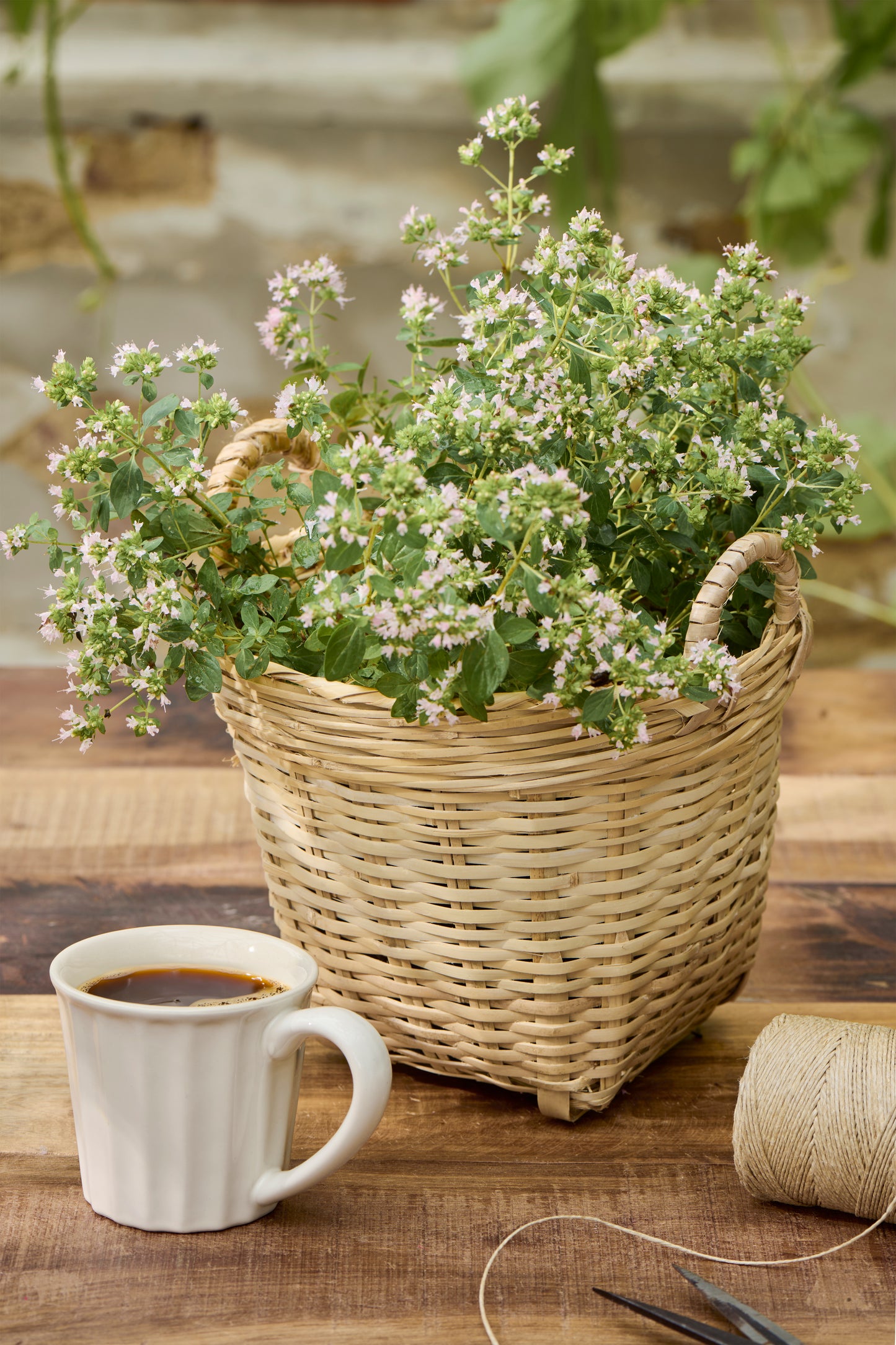 Mok laag